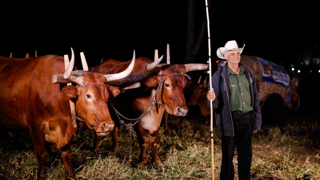 Romaria do Divino Pai Eterno (Foto: Divulgação)